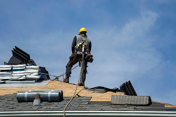 Professional Roof Replacement technician working in Teeds Grove, IA